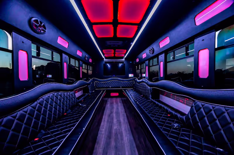 22-Passenger Party Bus seats