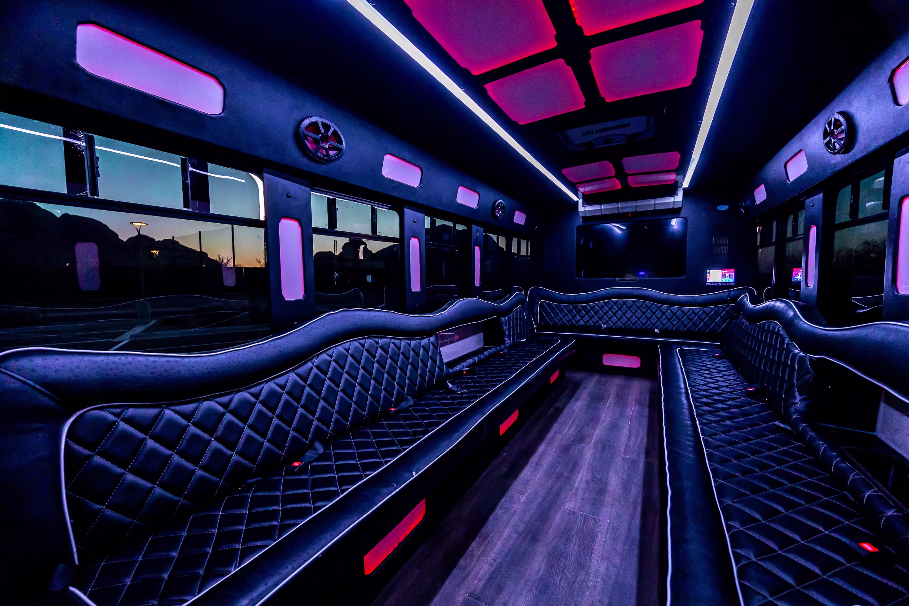 22-Passenger Party Bus seats